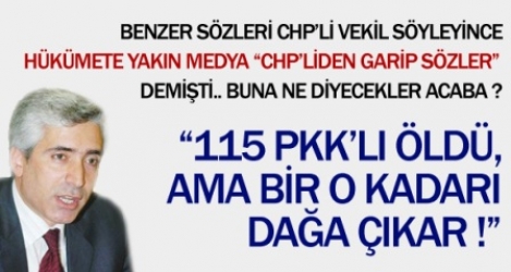 AK Partili Ensarioğlu: 115 PKK’lı daha dağa çıkabilir  