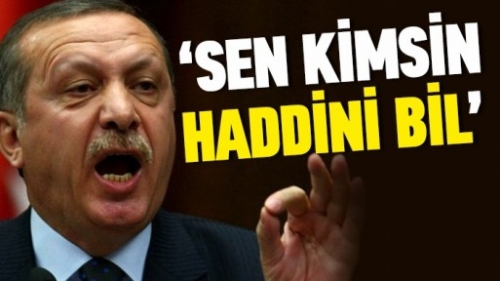 Başbakan Erdoğan: Sen kimsin haddini bil!