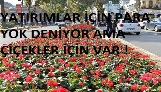 İstanbul’da trafik ve ulaşım sorunu çözememişken bu çiçekler neden?