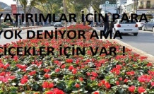 İstanbul’da trafik ve ulaşım sorunu çözememişken bu çiçekler neden?