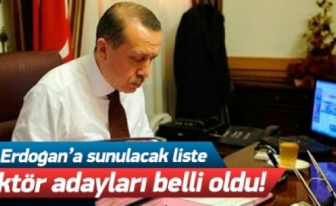Erdoğan'a sunulacak rektör adayları belirlendi