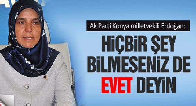 Ak Parti milletvekili Erdoğan: 'Hiçbir şey bilmeseniz de Hollanda için evet deyin