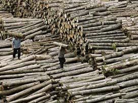 Aşırı kar yağışı, odun üretimini etkiledi