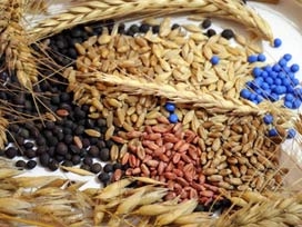 İsrail'e 1,8 milyon dolarlık tohum sattık