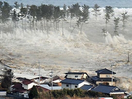 Japnoya depremi denizi 400 km yarmış!