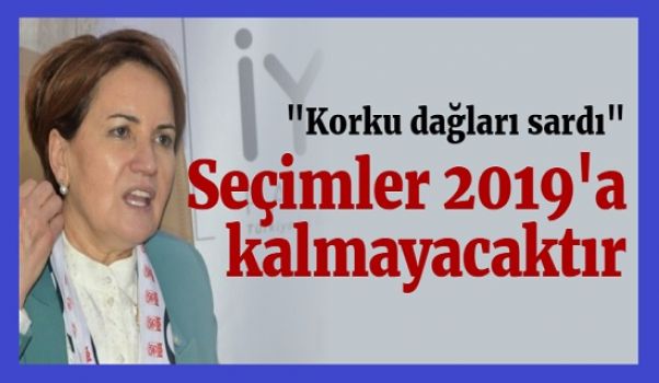 Meral Akşener: 15 temmuz 2018'de genel seçimlerle partili Cumhurbaşkanlığı seçimi öne alınır