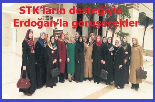 STK’ların desteğiyle Erdoğan’la görüşecekler