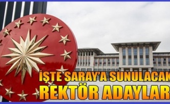 İşte Saray'a sunulacak rektör adayları!