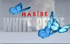 White Peace - Habibe 